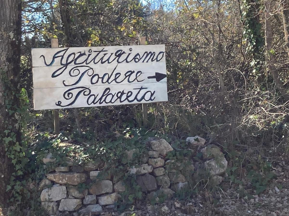 Agriturismo Palareta Montecatini Val di Cecina Eksteriør bilde