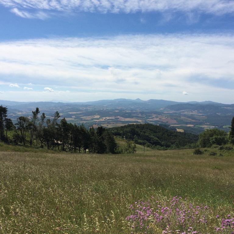 Agriturismo Palareta Montecatini Val di Cecina Eksteriør bilde